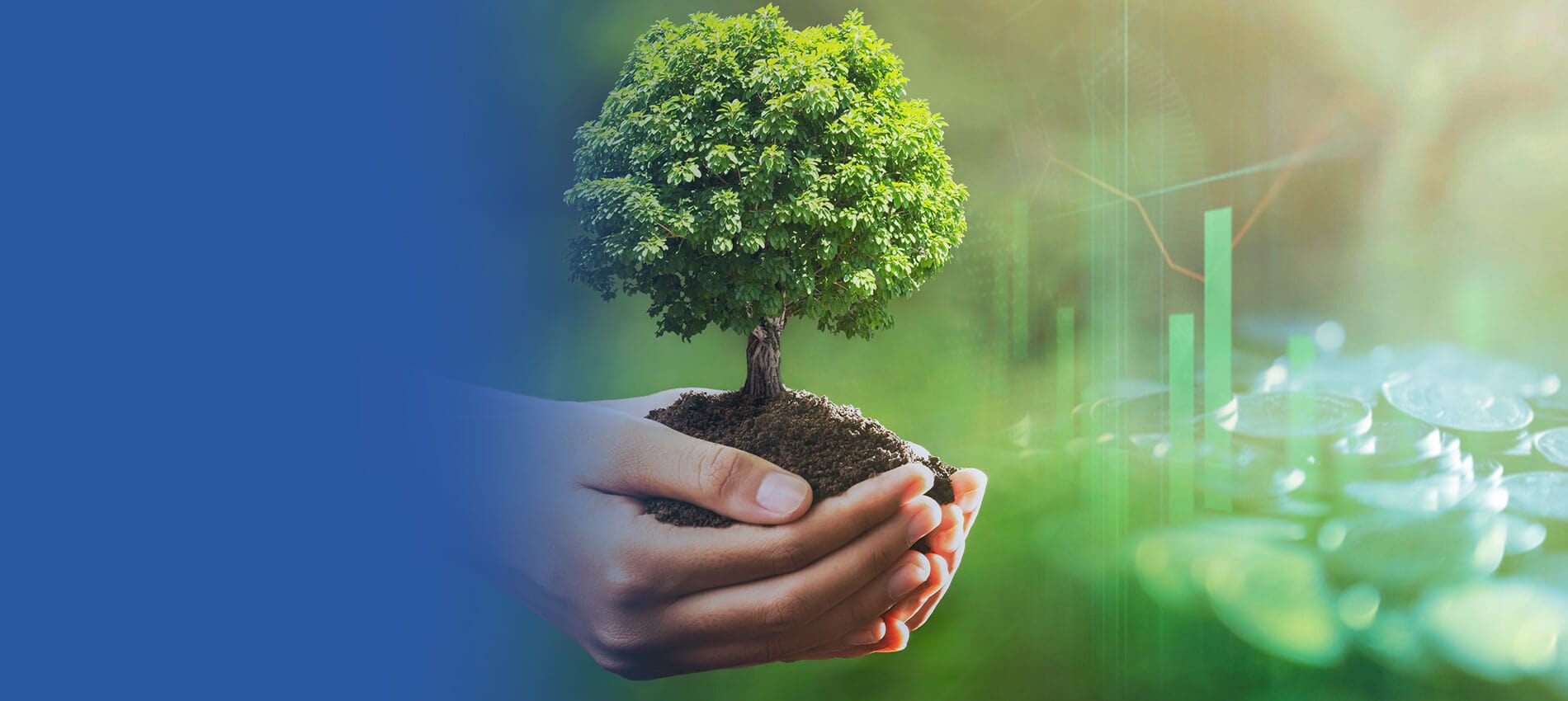 we care for  your growth